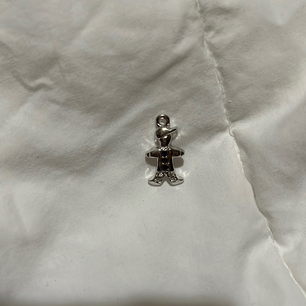 Bracelet charms